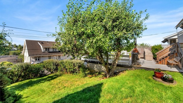 Hagen byr på frodig beplantning med plommetre, epletre, ripsbusker og rabarbra. Foto: Martine Eren Jacobsen / iSnitt