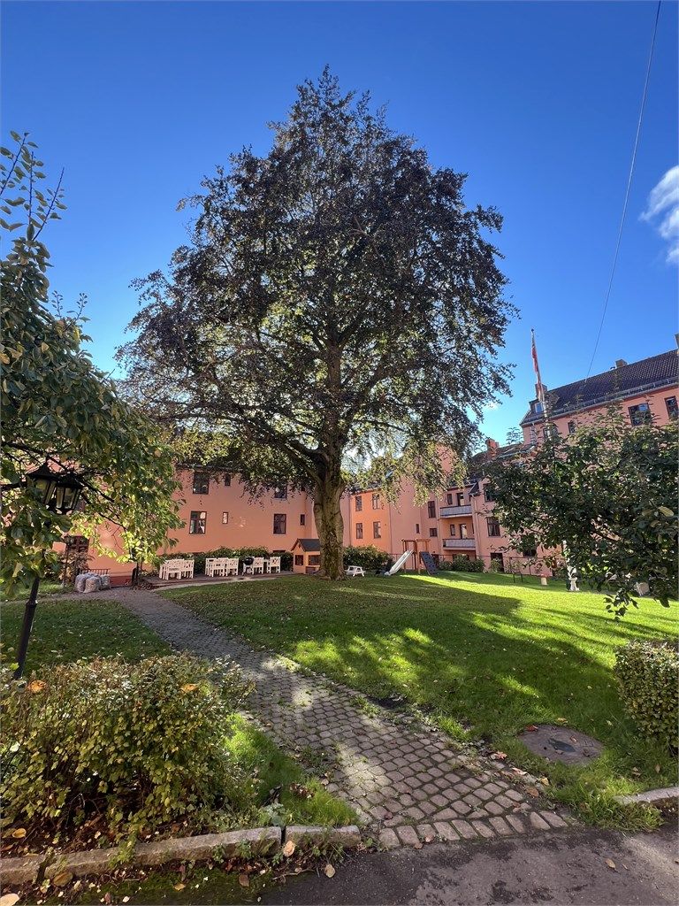 Vøyenvollen borettslag er et poopulært og veldrevet borettslag som består av 183 andeler. Fasaden ble rehabilitert i 2022.