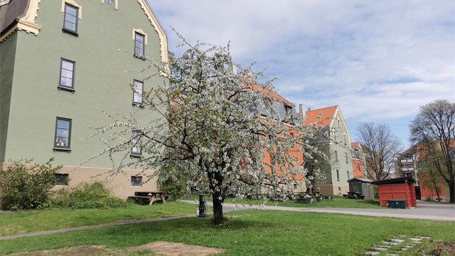 Flotte grøntområder rundt sameiet