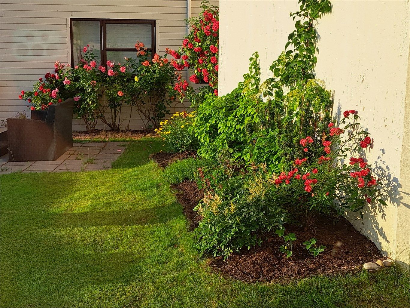 Blomsterhagen i fellesarealet nede (selgers private bilde)