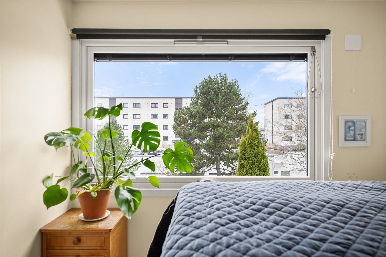 Utsyn over nærområdet fra hovedsoverommet.