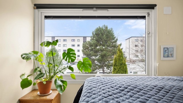 Utsyn over nærområdet fra hovedsoverommet.