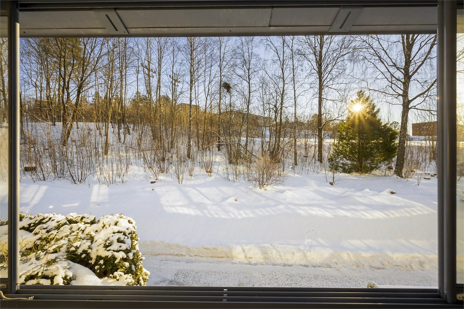 Hyggelig vinterutsyn mot skogholt, fra innglasset balkong.
Foto: Martine Eren Jacobsen