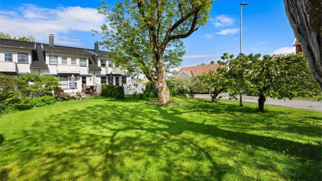 Stor og frodig hage med plass til lek og aktiviteter.