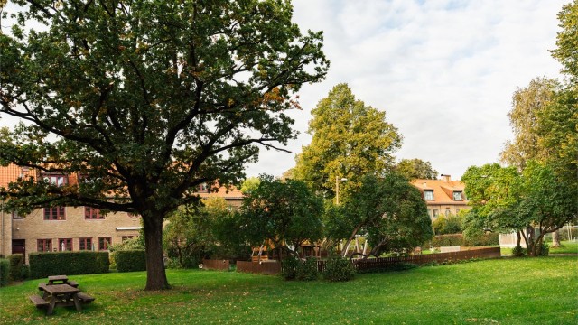 Store, flotte fellesarealer er pent opparbeidet og beplantet.