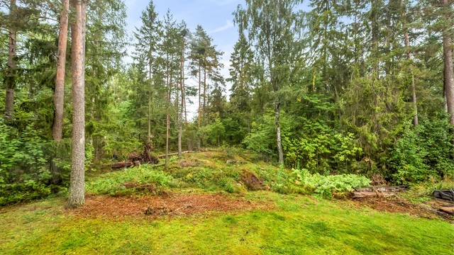 Utsyn mot det grønne skogholtet rett utenfor soveromsvinduet.