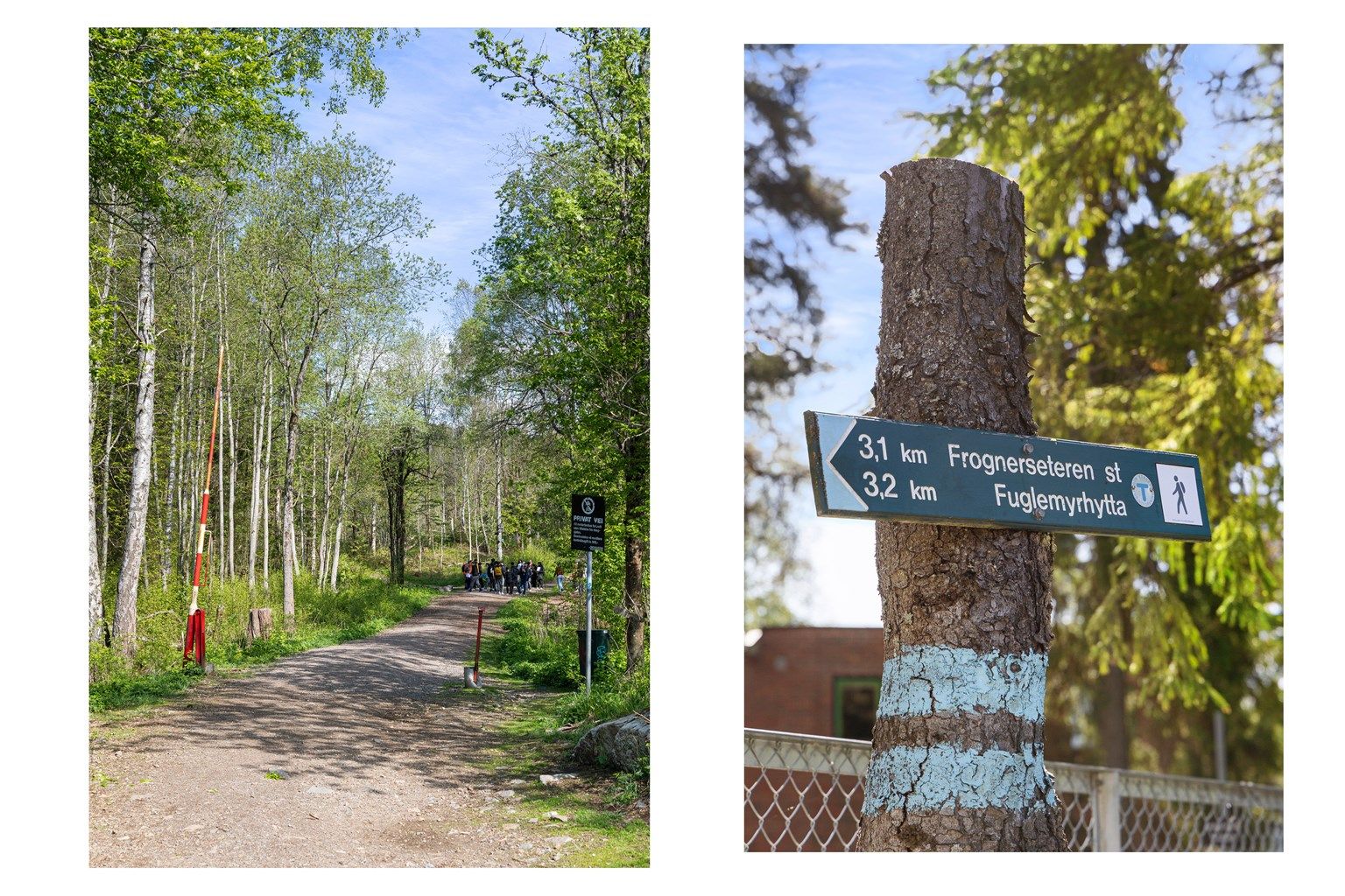 Med umiddelbar nærhet til Nordmarka er turmulighetene mange, sommer som vinter.