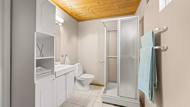 Badet i underetasjen med toalett, servant og dusjkabinett.