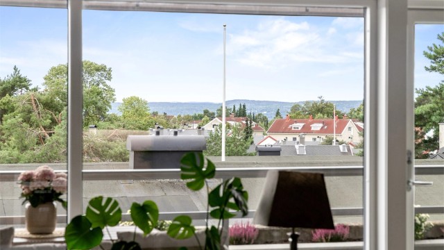 Utsikt