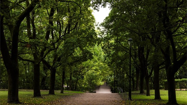 Fra sameiet går det et belte med grøntområde til disse parkene.