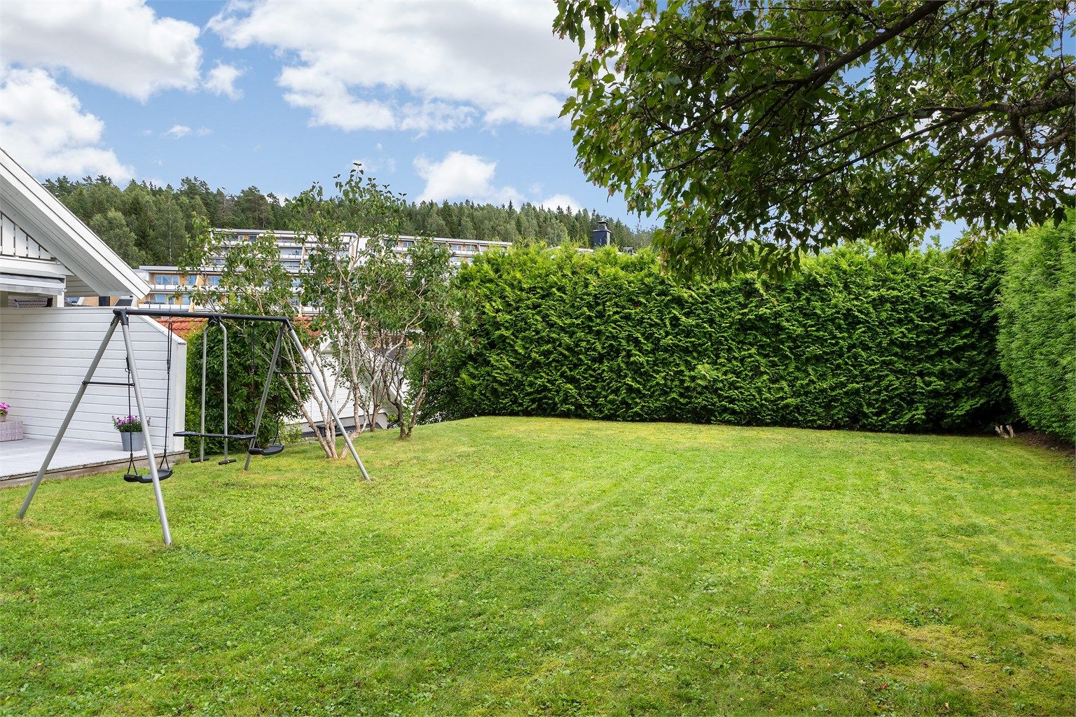 Flat og lettstelt gressplen rammet inn av en tett, frodig hekk.