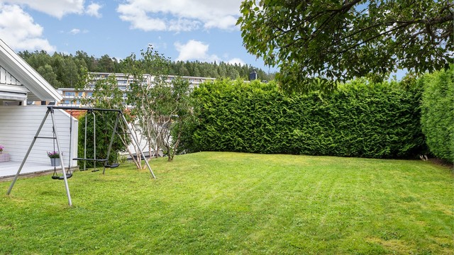Flat og lettstelt gressplen rammet inn av en tett, frodig hekk.