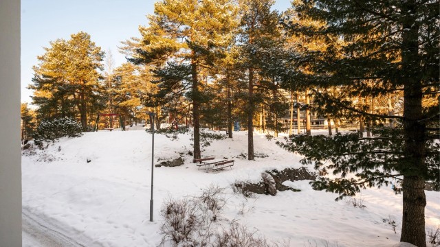 Utsikt over de store, grønne utearealene som omgir boligsameiet.