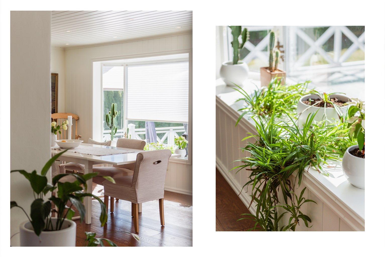 Store vindusflater gir rikelig med naturlig lys.