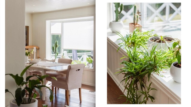 Store vindusflater gir rikelig med naturlig lys.