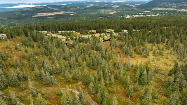 Sommerstid byr området på fine muligheter for fotturer, sykling, fiske og andre aktiviteter i fjellet. Det er kort vei til både skogsterreng og mer åpne fjellområder, med et variert utvalg av turmål i nærområdet