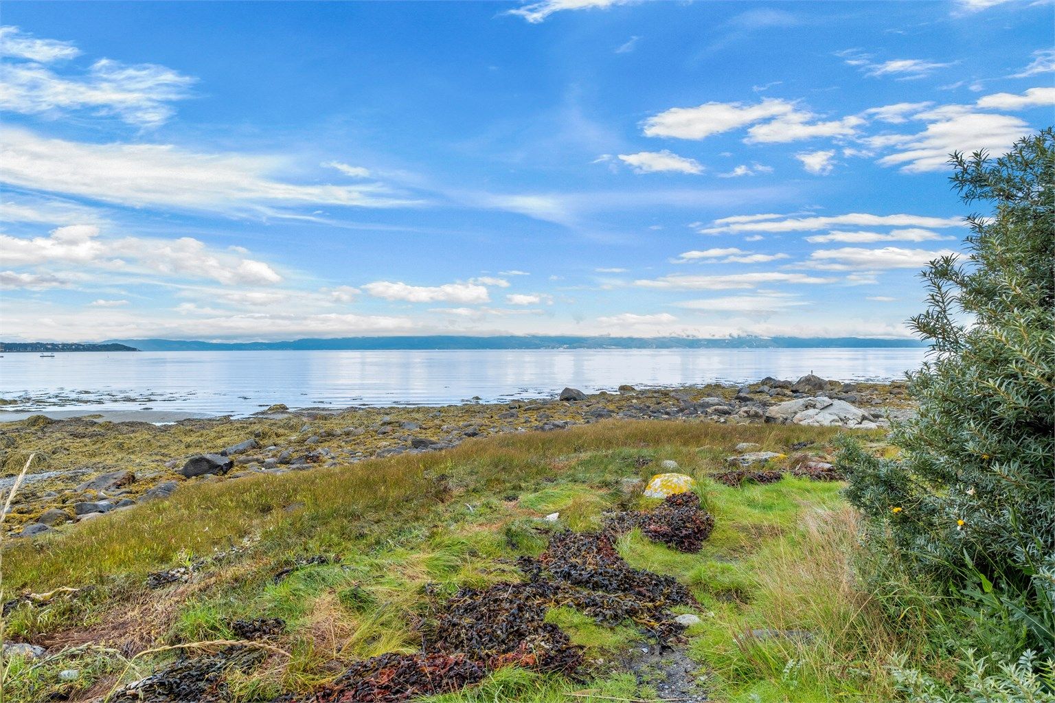 Kort vei fra boligen finner du flotte områder langs Trondheimsfjorden – perfekt for turer og rekreasjon ved sjøen.