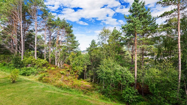 Eiendommen grenser mot et friområde, noe som gir en skjermet og privat følelse.