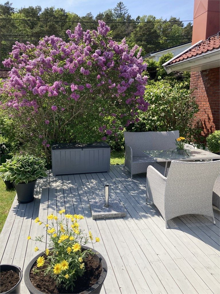 Sommerbilde.