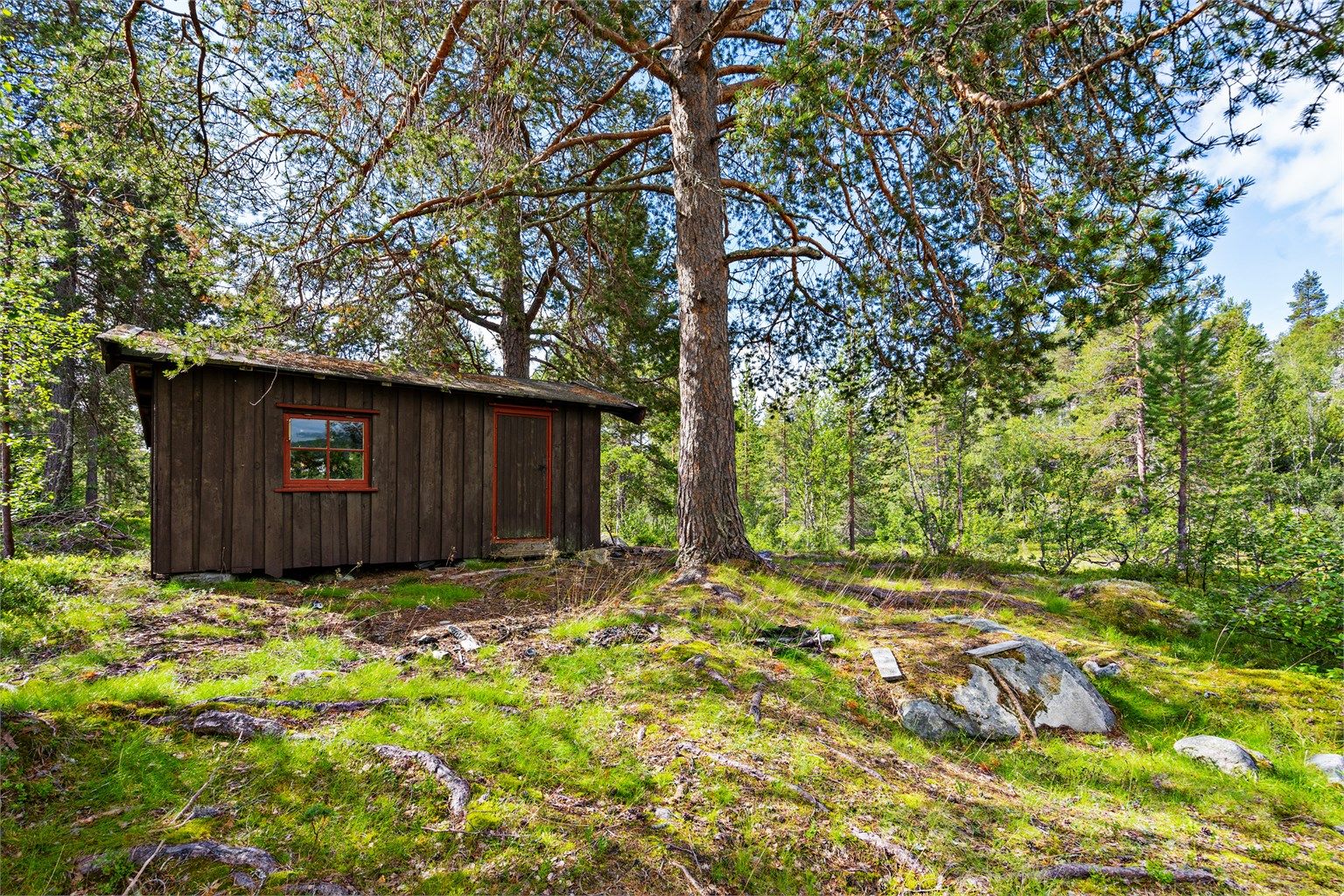 - Velkommen til Røyrtjønn - 