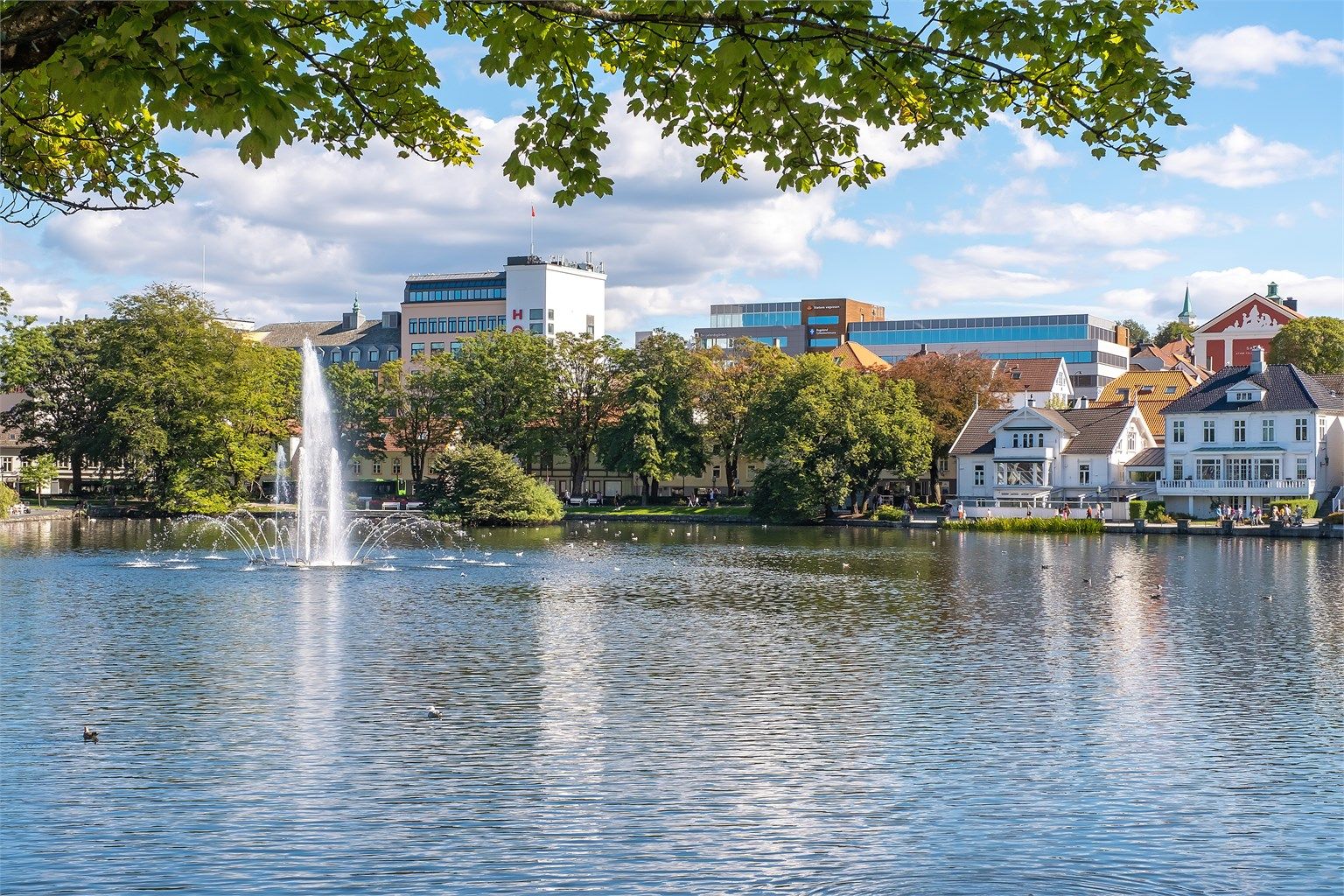 Stavanger sentrum innen kort gåavstand.