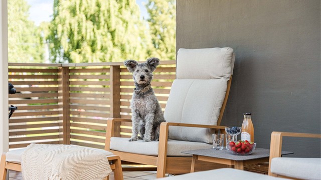 Verandaen blir en naturlig forlengelse av oppholdsarealene, perfekt for avslapning og sosiale stunder.