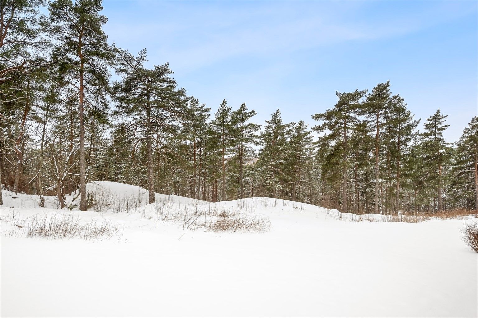 Sjekk ut denne herlige utsikten fra balkongen - Her får du følelsen av å bo i skogen/marka! 