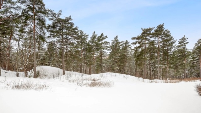 Sjekk ut denne herlige utsikten fra balkongen - Her får du følelsen av å bo i skogen/marka!