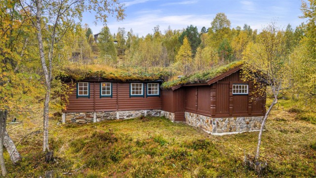 Fasade med liggende og stående trekledning samt torvtak.
Foto: Stian Wiik