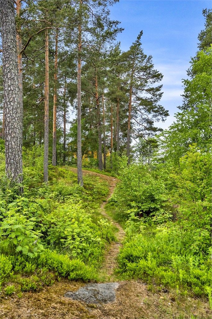 Bor du på Haraløkka å bor du faktisk med marka og naturen som nabo. Et mer idyllisk boområde skal du lenge lete etter!