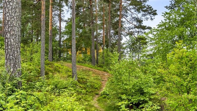 Bor du på Haraløkka å bor du faktisk med marka og naturen som nabo. Et mer idyllisk boområde skal du lenge lete etter!