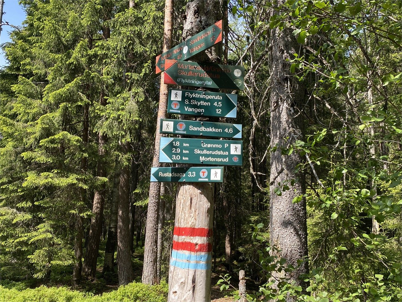 Umiddelbar nærhet til Østmarka som byr på flotte turområder både sommer- og vinterstid. Stier, lysløyper og turveier som er fine til turgåing, sykling og løping. Om vinteren blir det kjørt opp skispor i lysløypene.