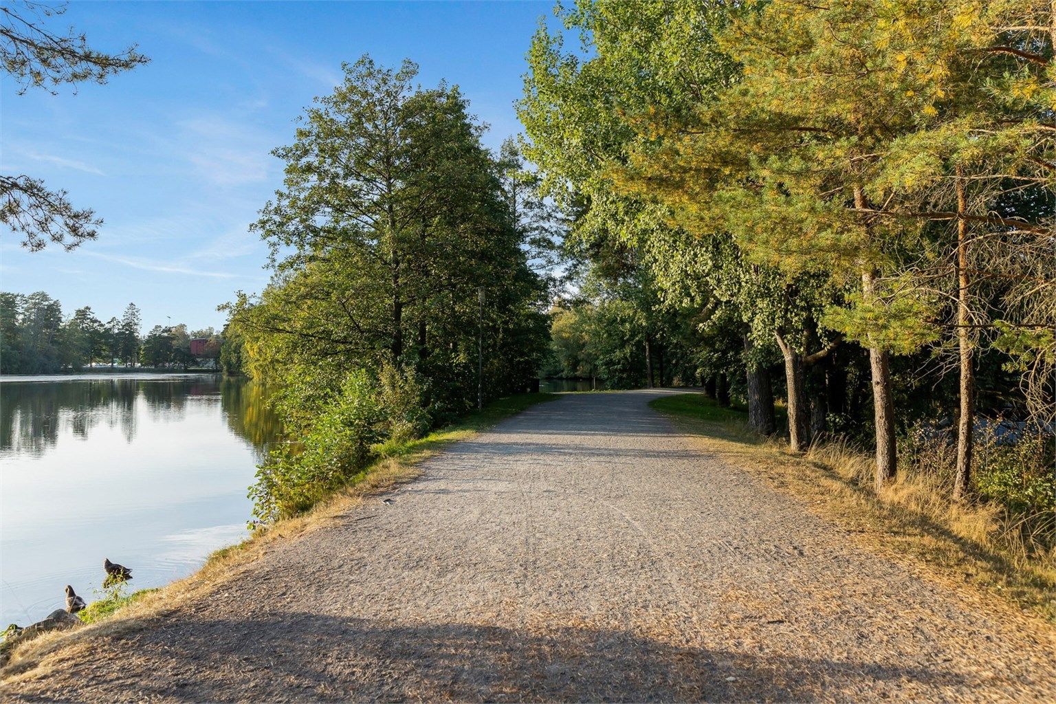 På fritiden kan du ta turen til flotte Bugårdsparken, en av Sandefjords mest brukte og innholdsrike aktivitetsparker, hvor du finner fasiliteter som svømmehall, fotballbaner, tennishall og ishall, i tillegg til den sjarmerende andedammen omgitt av tursti.