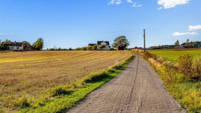 Gruset adkomstvei fører opp gjennom åkerlandskapet til gårdstunet.