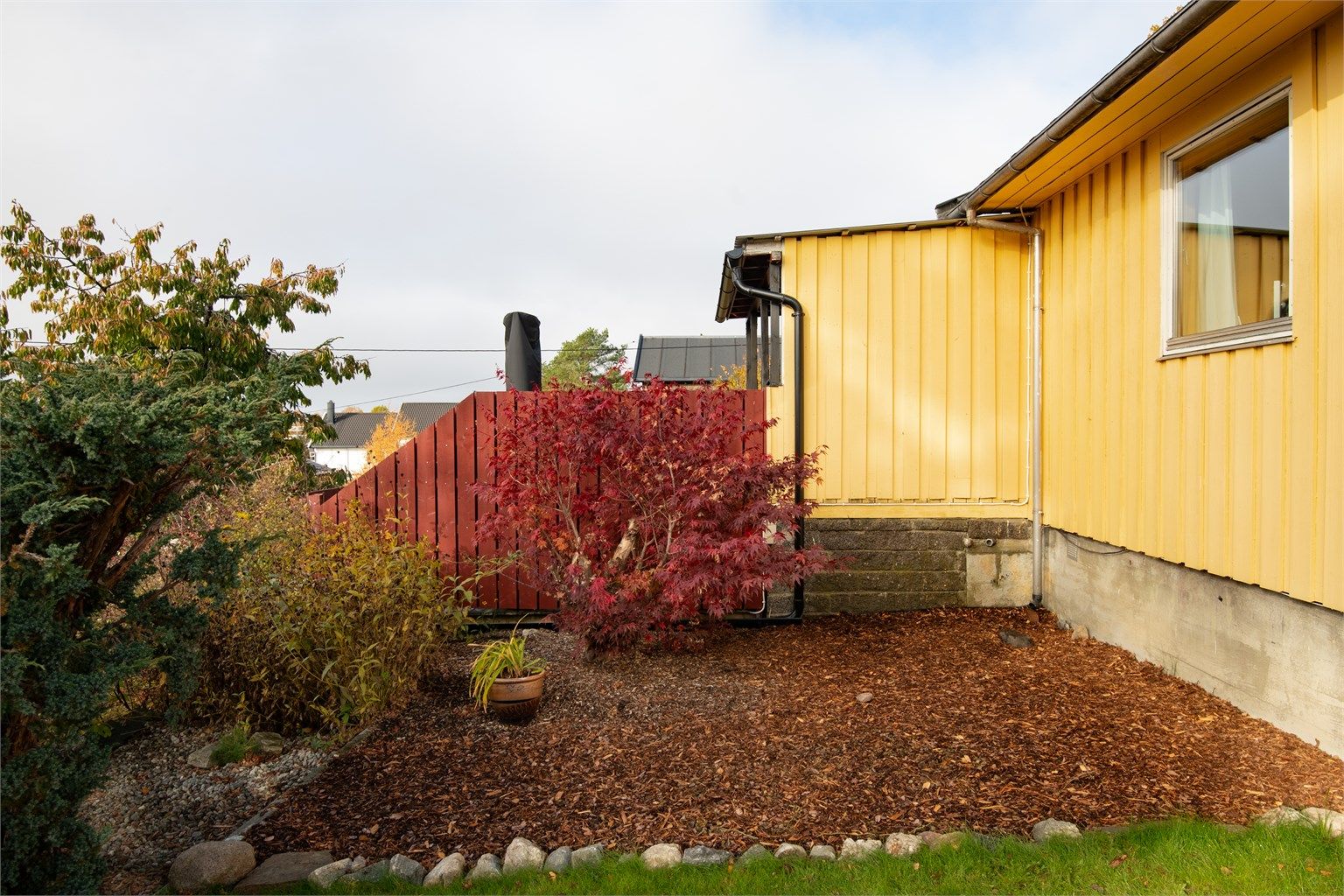 Opparbeidet bed med bark og beplantning. 