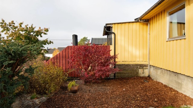 Opparbeidet bed med bark og beplantning.