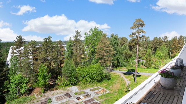 Utsikt over fellesarealene med parsellhager og grøntarealer.