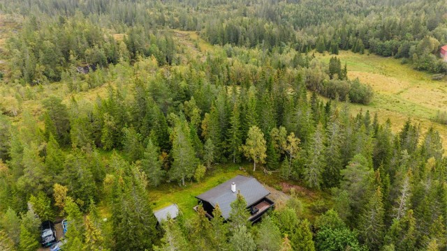 Her får du virkelig følelsen av den landlige beliggenheten, med skogen og naturen som nærmeste nabo.