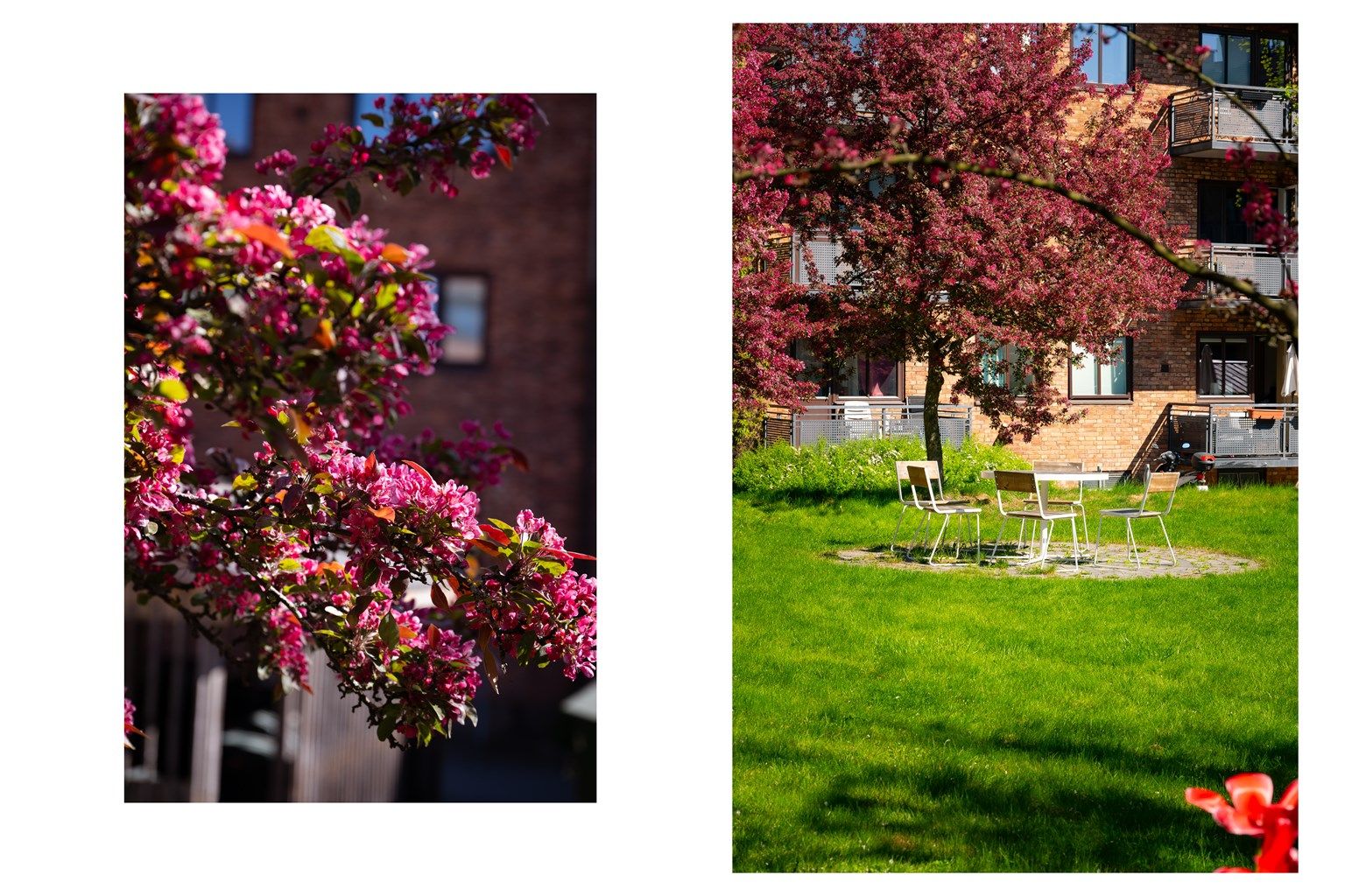 Usjenert og trafikkstille bakgård 