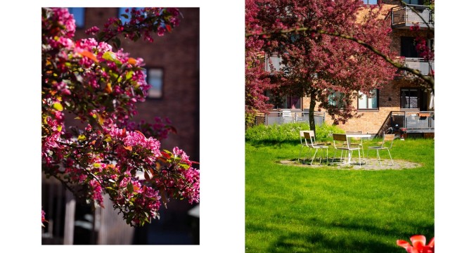 Usjenert og trafikkstille bakgård