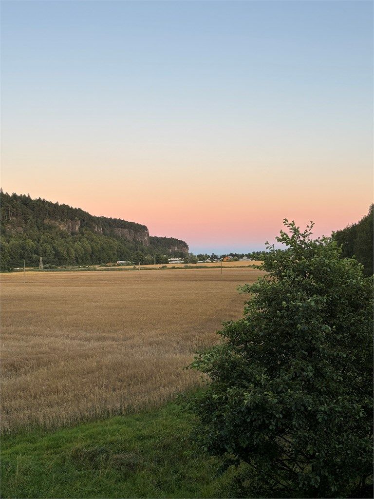 Utsikten endrer seg gjennom døgnet og uansett årstid nytes utsikten utover landskapet.