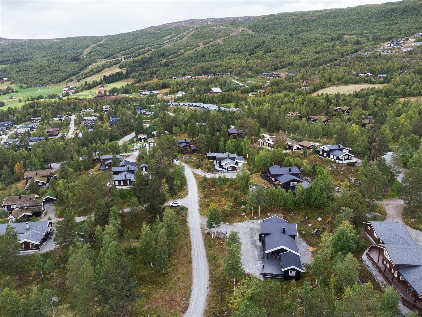 Dronebilde av nærområdet