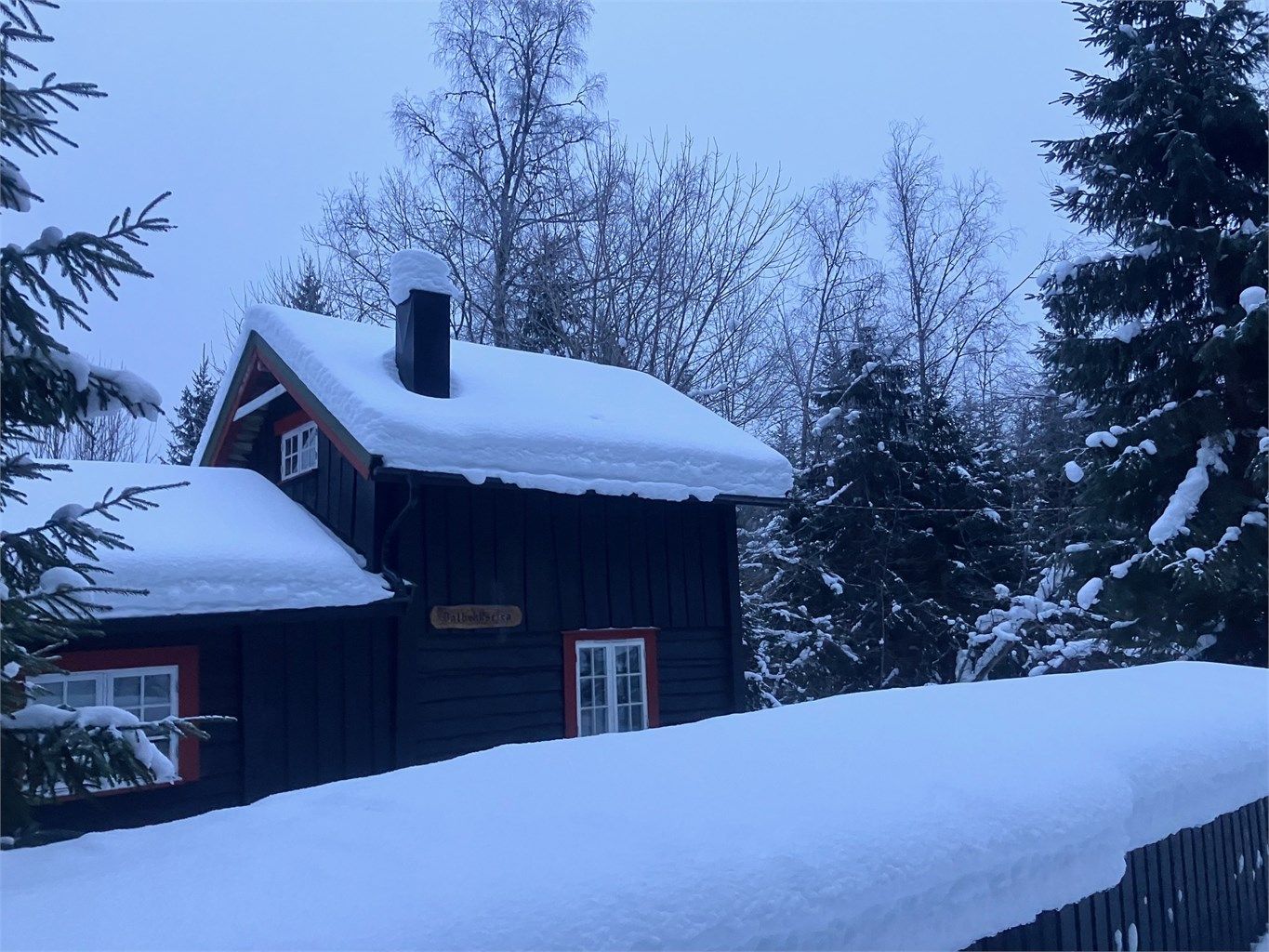 Selgers private bilder - vinter 2026