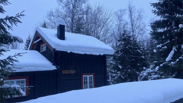 Selgers private bilder - vinter 2026