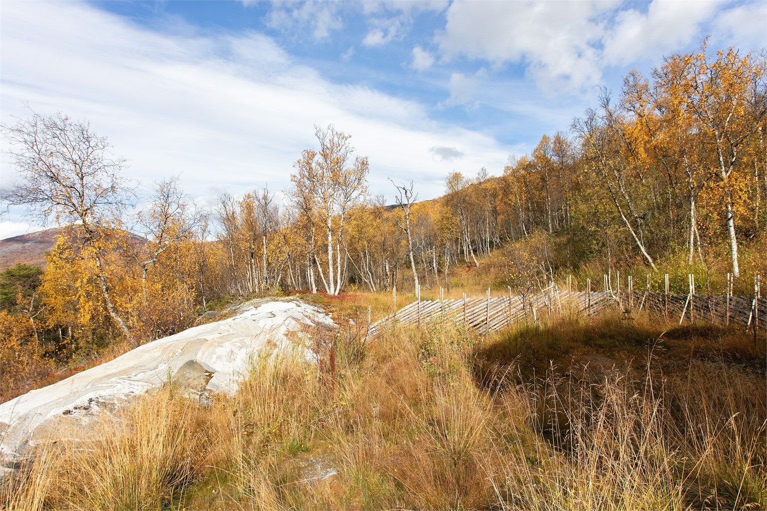 Fjellterreng og turstier like i nærheten av hytta.