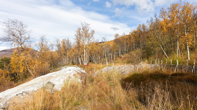Fjellterreng og turstier like i nærheten av hytta.