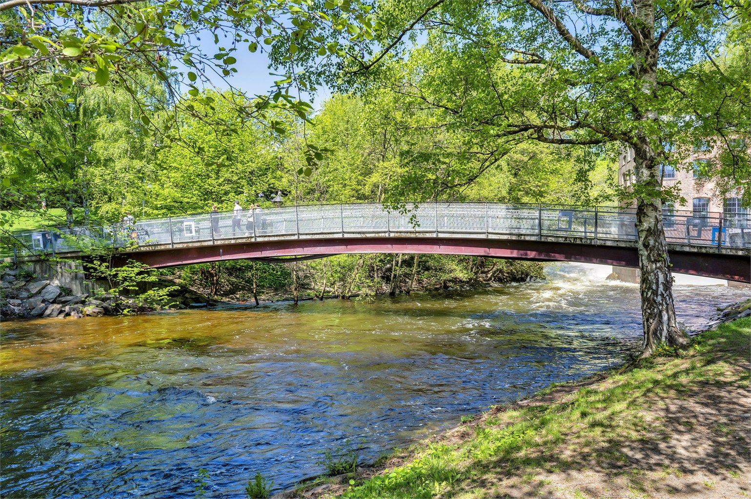 Turveiene langs Akerselva, som strekker seg helt fra marka i nord til Bjørvika i sør, er ypperlig for både hverdagslige treningsøkter og hyggelige spaserturer.