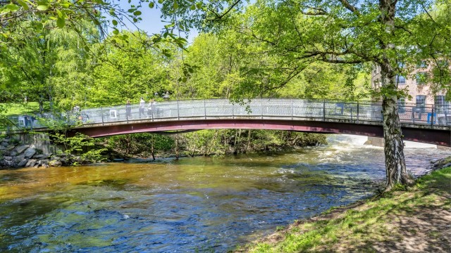 Turveiene langs Akerselva, som strekker seg helt fra marka i nord til Bjørvika i sør, er ypperlig for både hverdagslige treningsøkter og hyggelige spaserturer.