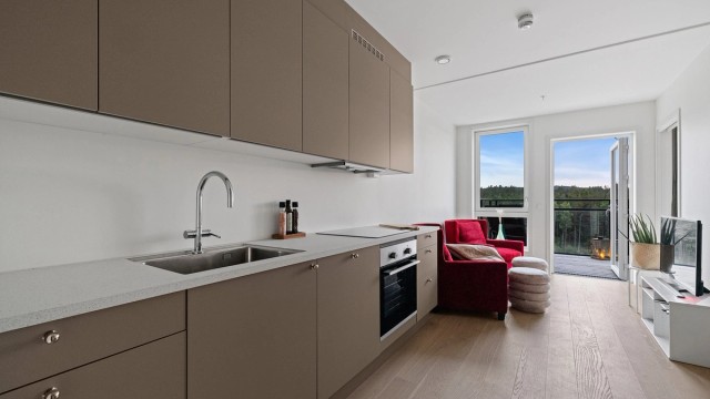 Rådalslia 1 blir presentert av Jørgen Sande Johansen i Krogsveen