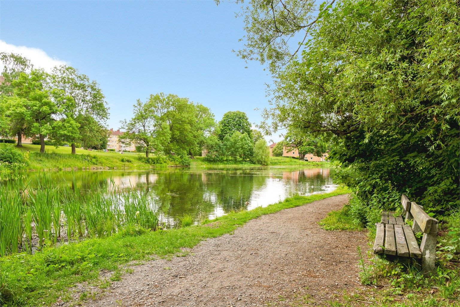 Område - Hovindammen